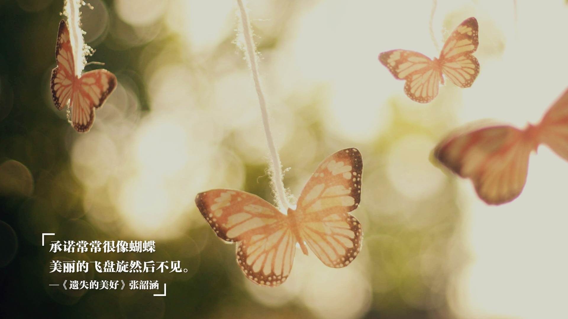 _海滩瑜伽：身心放松的运动新体验_，央视 瑜伽 海滩 小时候