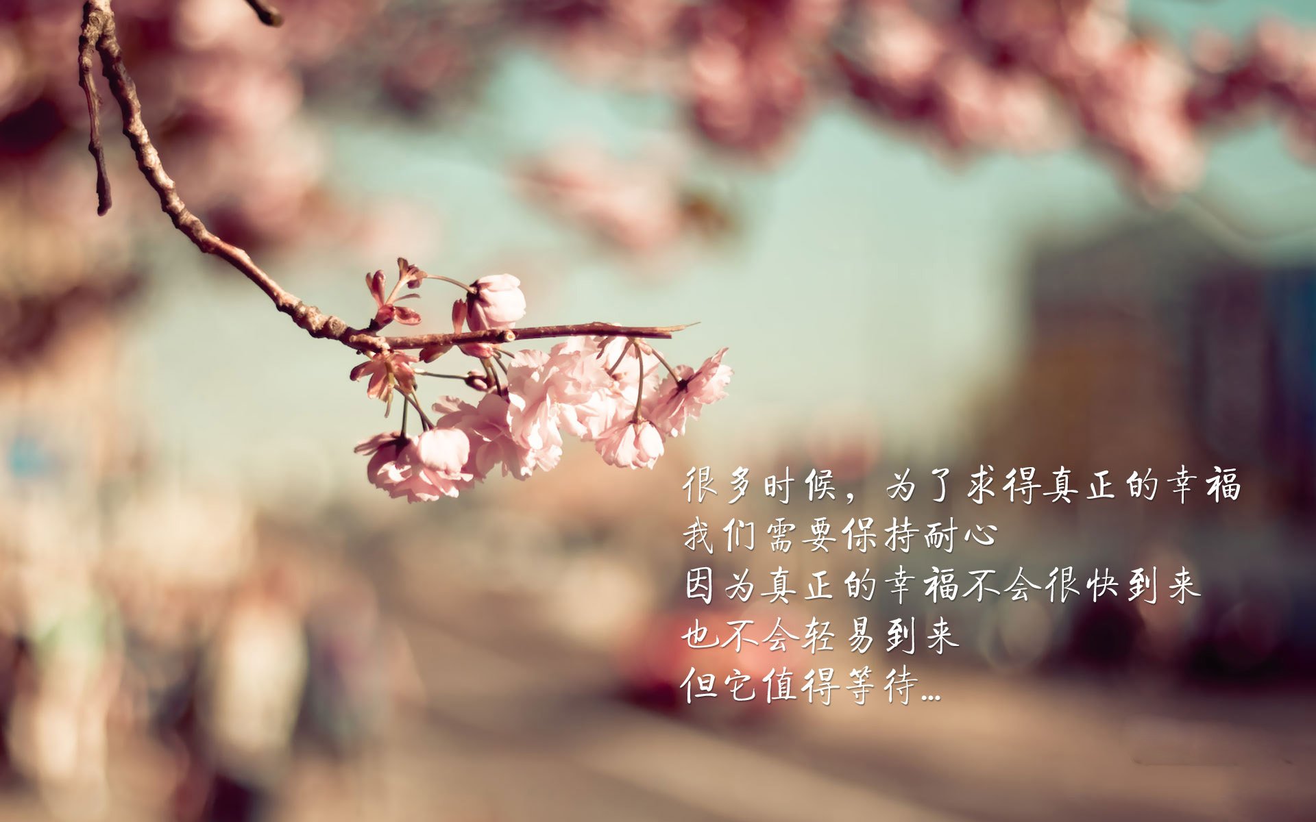 “生死时速，快如闪电！”——极限救援行动内幕，极限救援真实事件还原