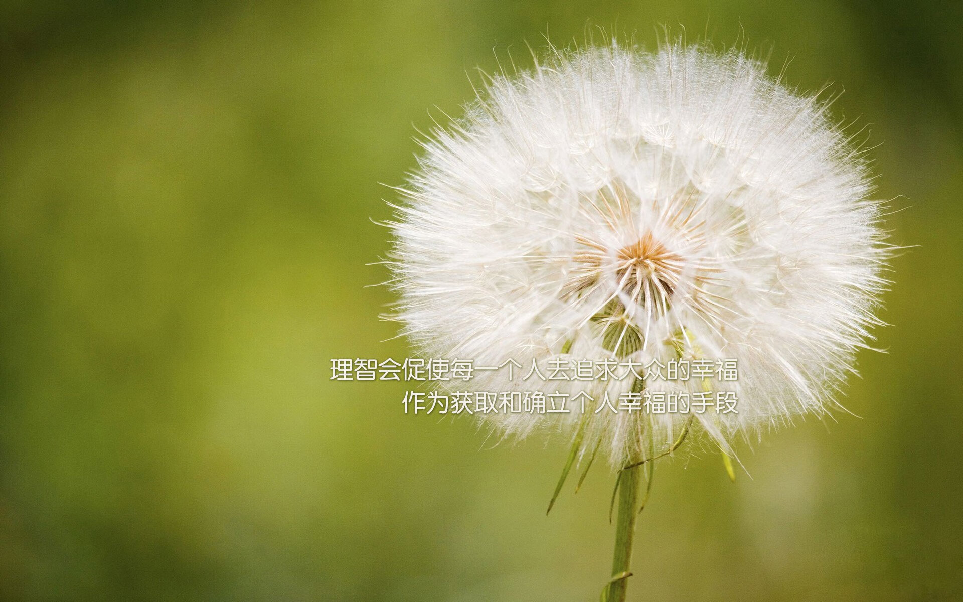【夺冠秘诀】丁俊晖讲述他如何应对比赛中的犯规压力，丁俊晖的水平