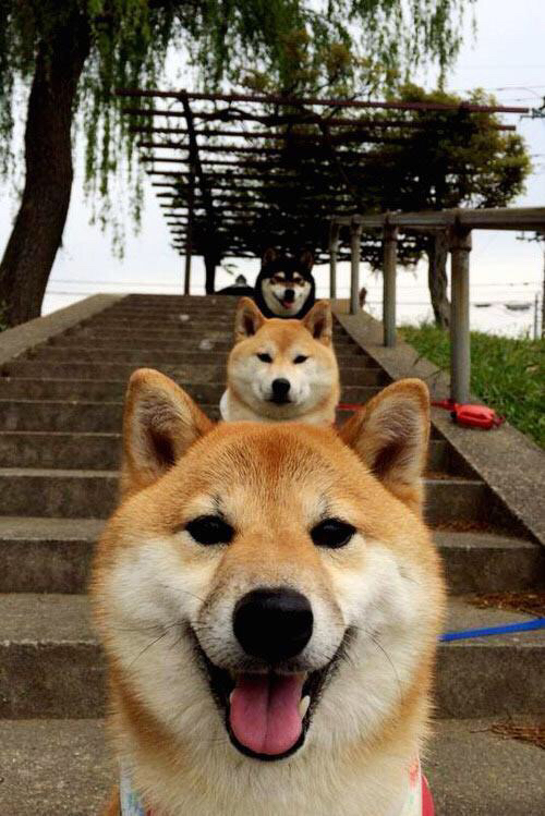 未来联盟：虚拟现实和AI赋能篮球比赛，未来联盟信息技术