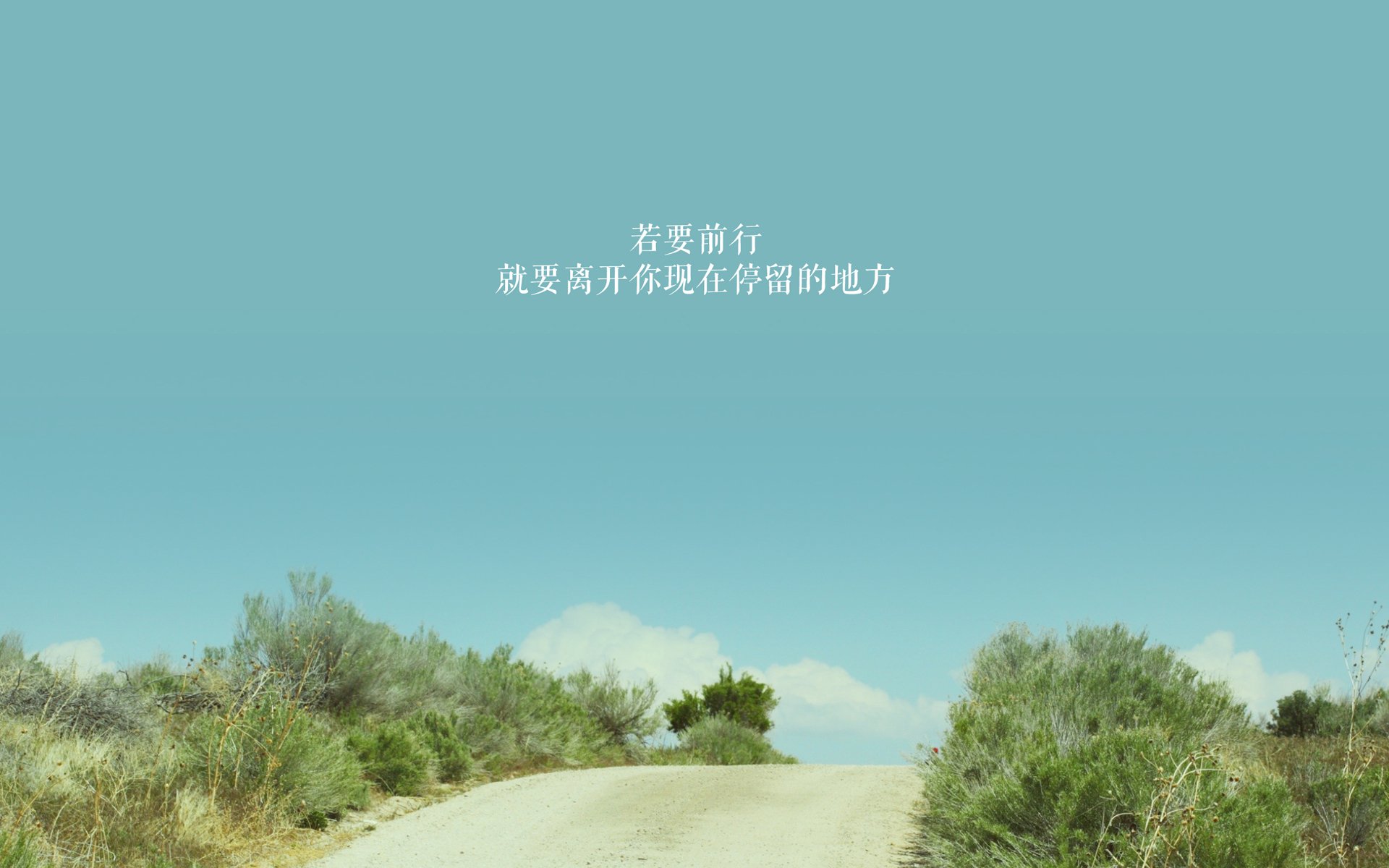 瑞士马术协会与兽医合作，开展马匹疾病预防与治疗研究。，瑞士兽医学院