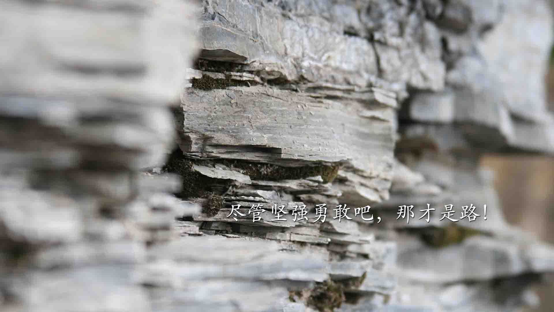 利物浦准备与对手进行友谊赛磨合战术，利物浦 联赛