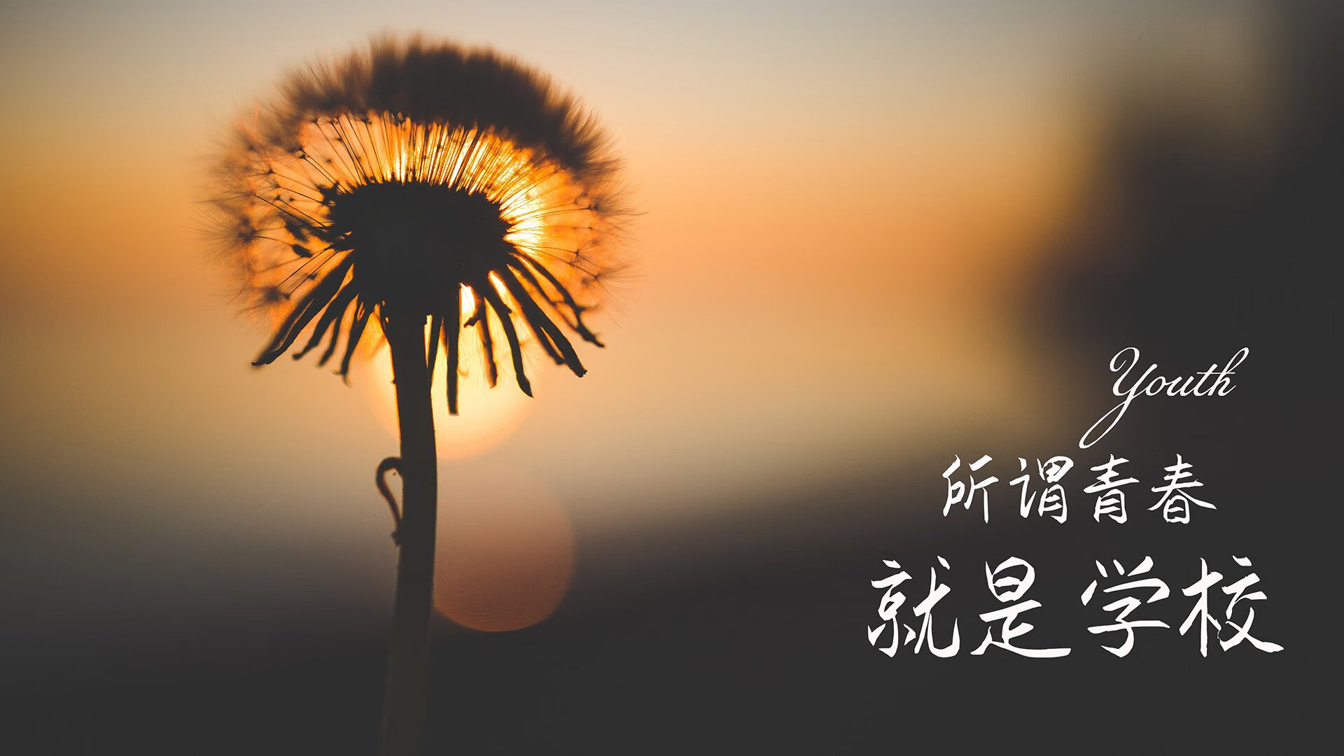 快船大胜步行者，东部决赛中乔治连续抢断建功，快船乔治打什么位置