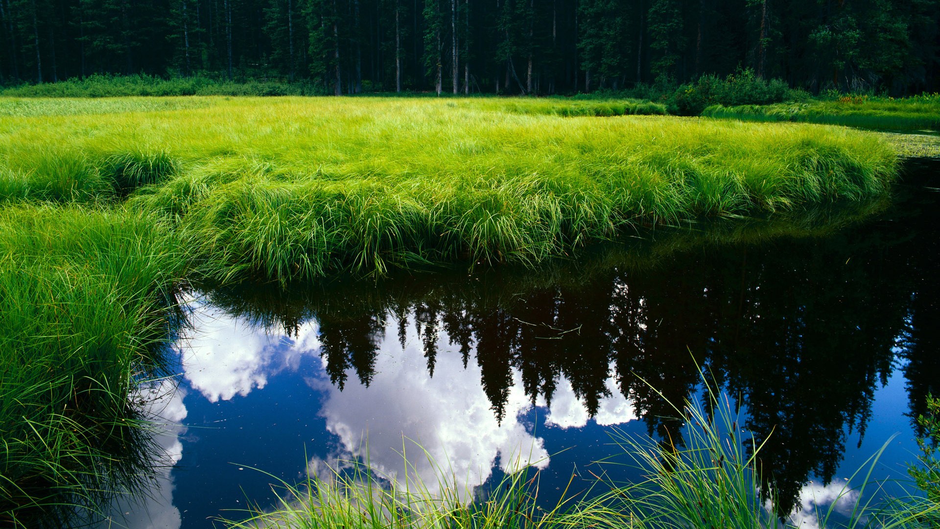 捷克中场助攻连连，球队轻松获胜，捷克中场大将