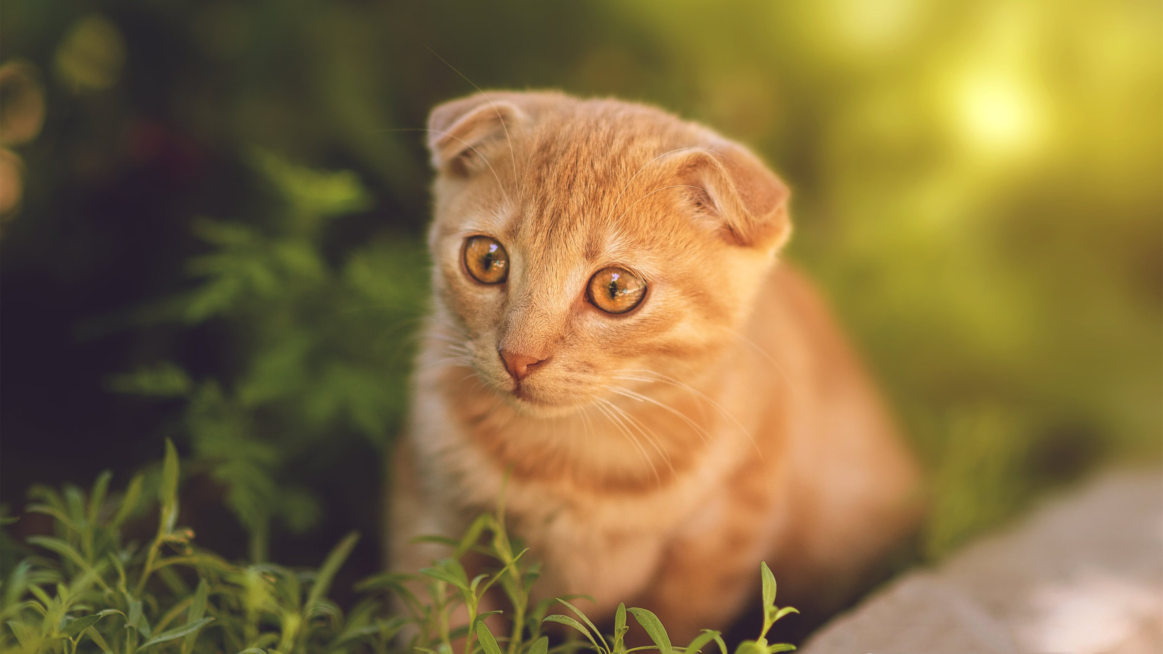 Kaiyun(中国)开云-热火强势横扫公牛，季后赛中巴特勒送出五次抢断，巴特勒40分热火胜雄鹿集锦