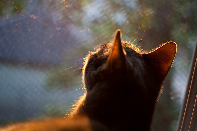 热火队遇挫，马刺队在客场逆转击败对手，热火马刺大战
