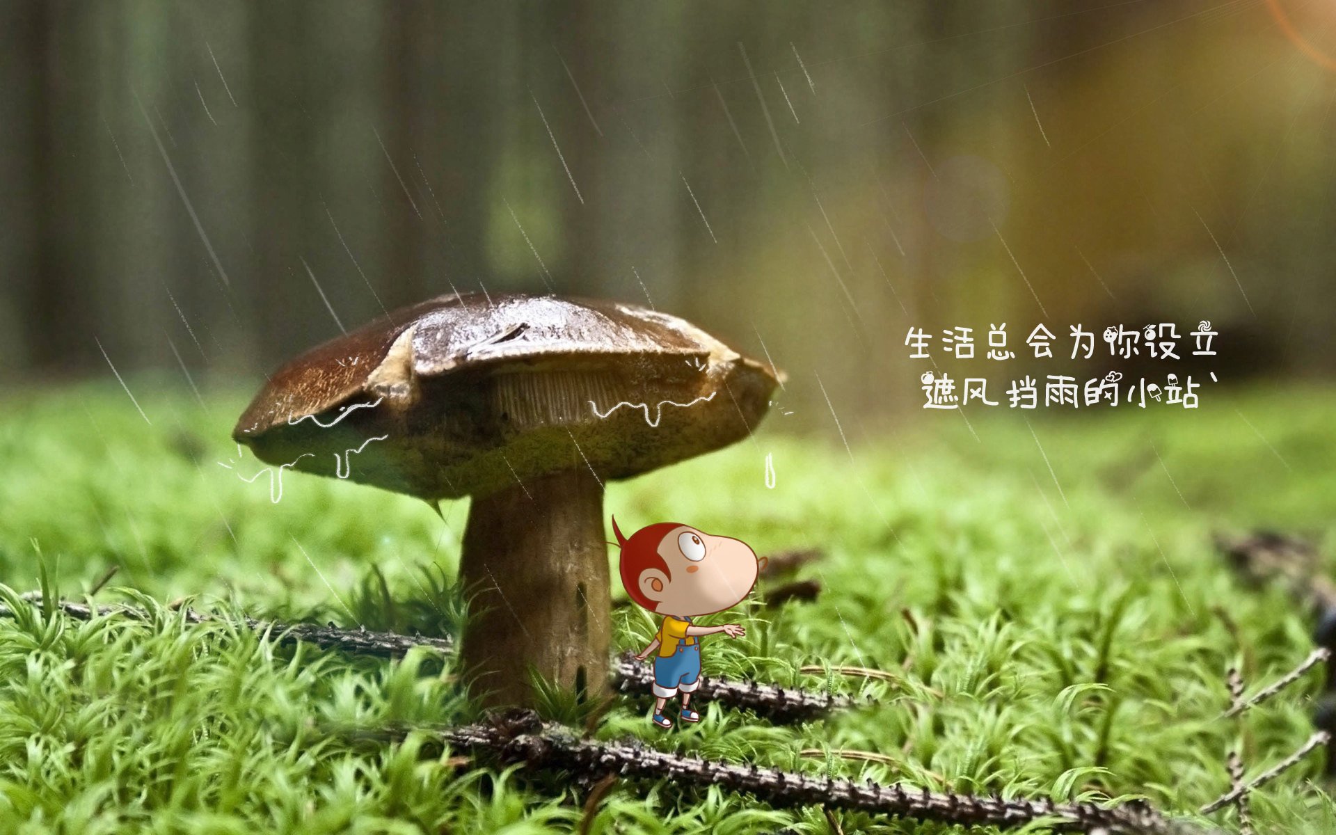 世界桥牌锦标赛中国老将再献精彩，世界桥牌协会官网