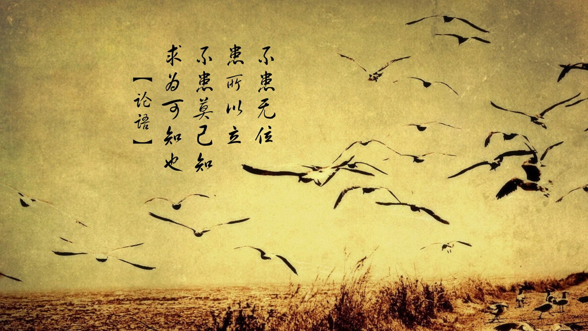 体育产业政策环境优化，体育产业政策汇总
