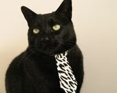 东亚杯中国足球复仇 球迷称赞团队协作，东亚杯中国队名单