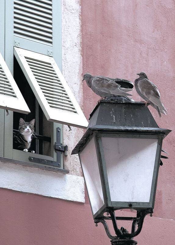 KAIYUNAPP-奥运备战周期调整强化项目精度管理，奥运项目进程