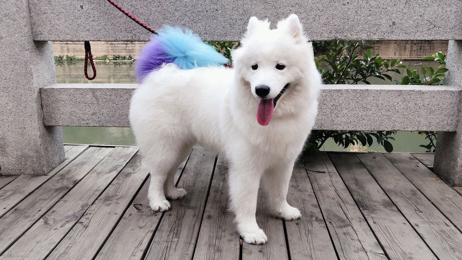 拜仁边路渗透持续制造得分机会，拜仁分析