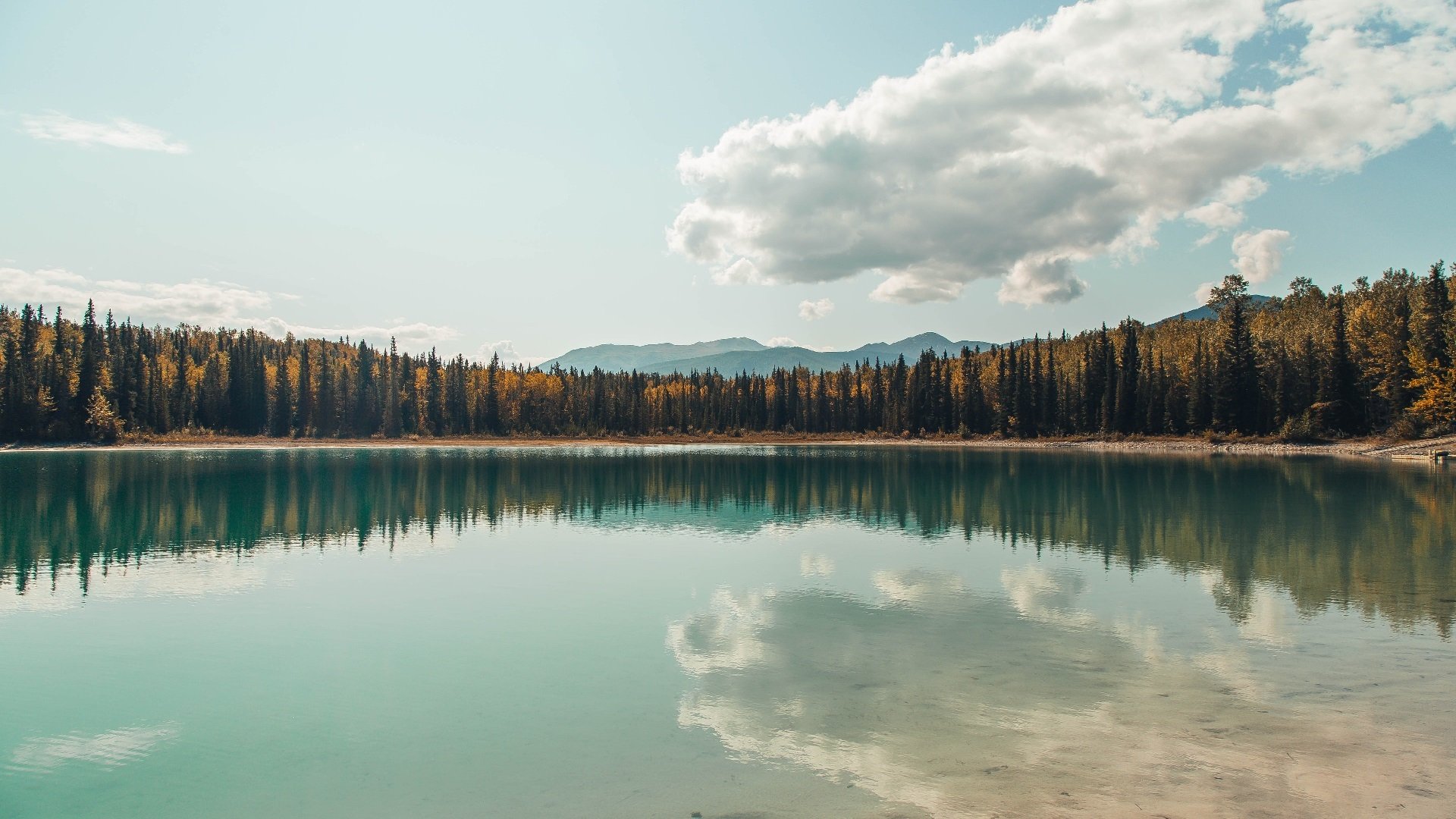 莱谢恩·卡萨斯男子200米个人混合泳表现抢眼