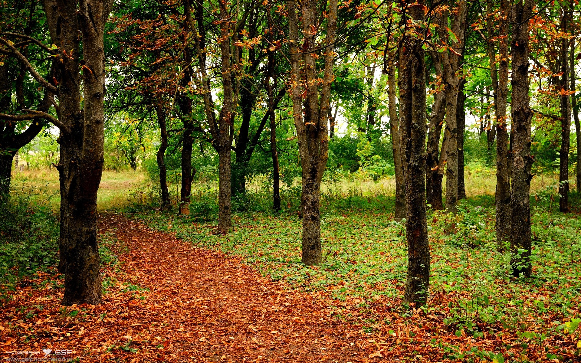 KAIYUN 中国大陆-马拉松赛事参赛选手爆满，马拉松项目参赛者须在比赛当年年满多少岁