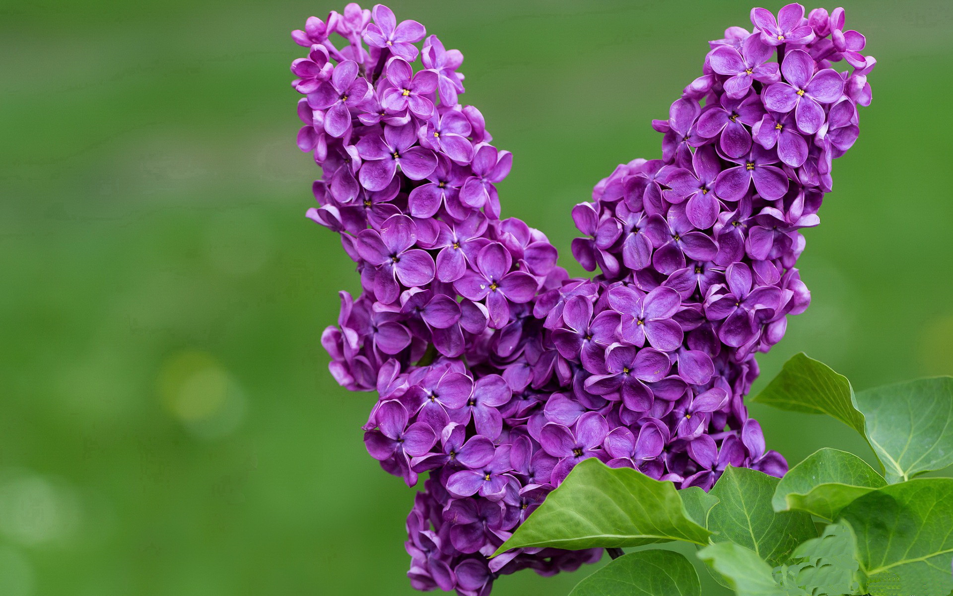 马拉松赛事参赛选手爆满，马拉松项目参赛者须在比赛当年年满多少岁