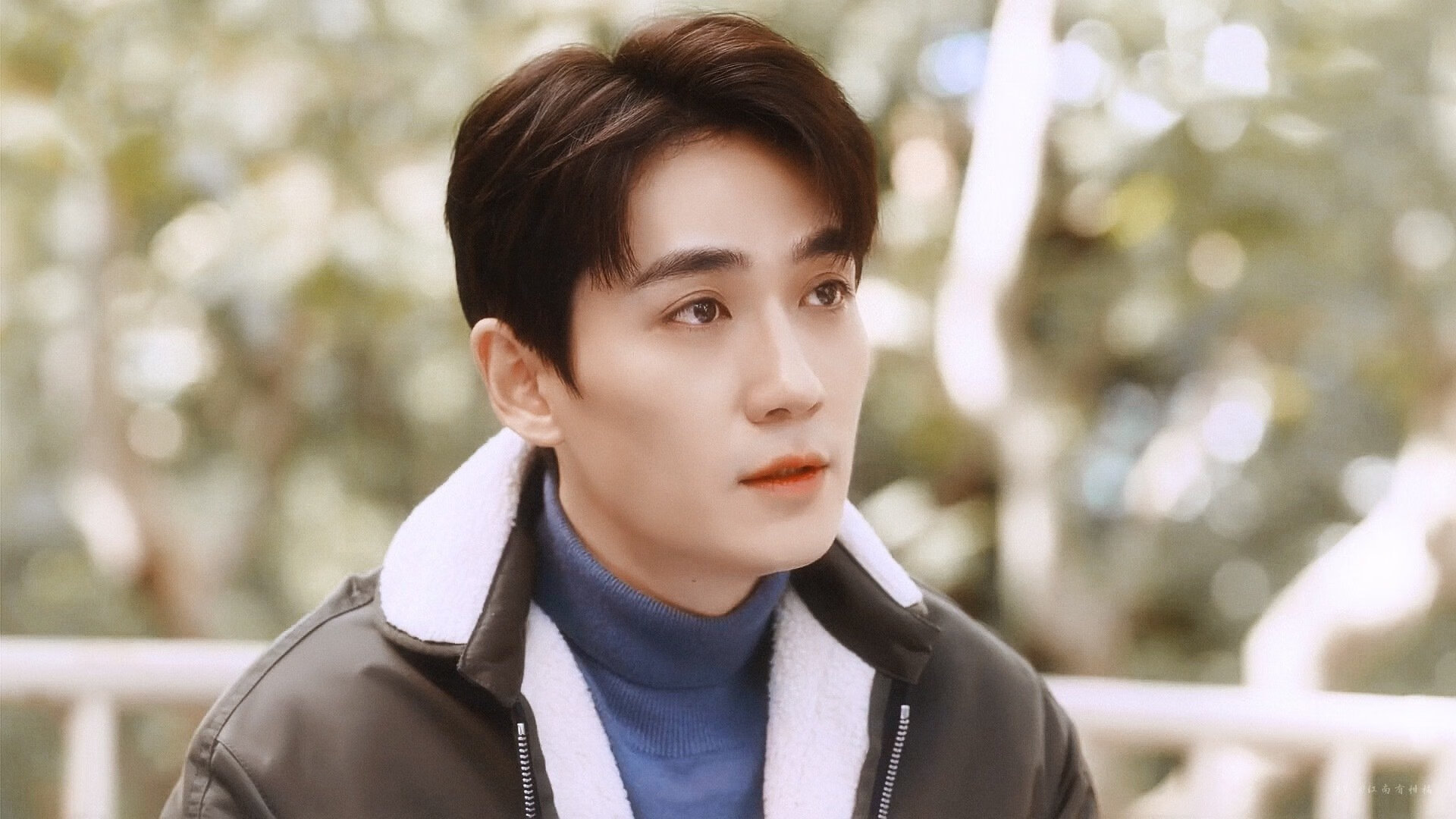 麦金托什稳步提升成绩赢得掌声,麦金托什的家具设计作品