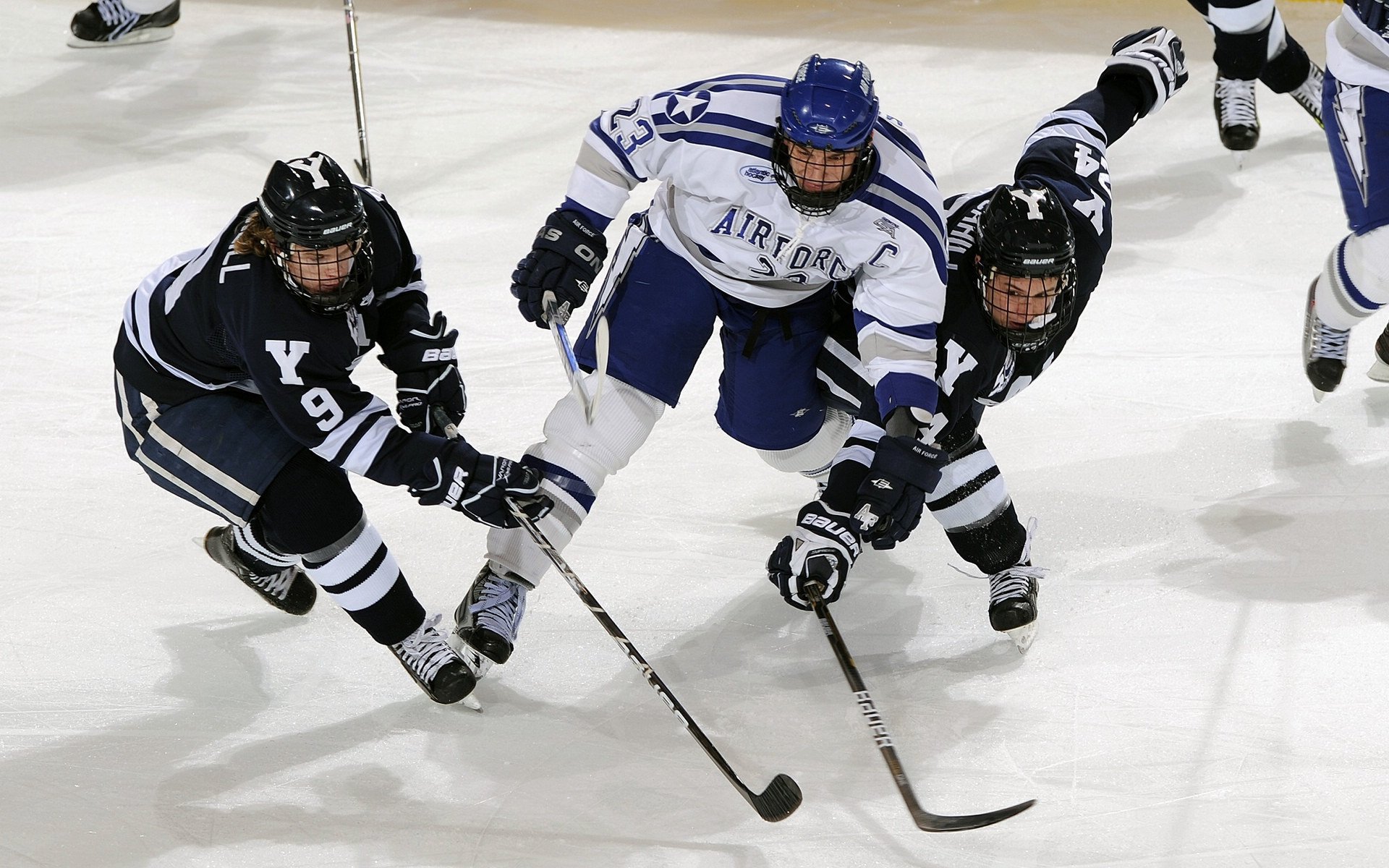 台球比赛中的裁判职责与公平性，台球裁判员知识